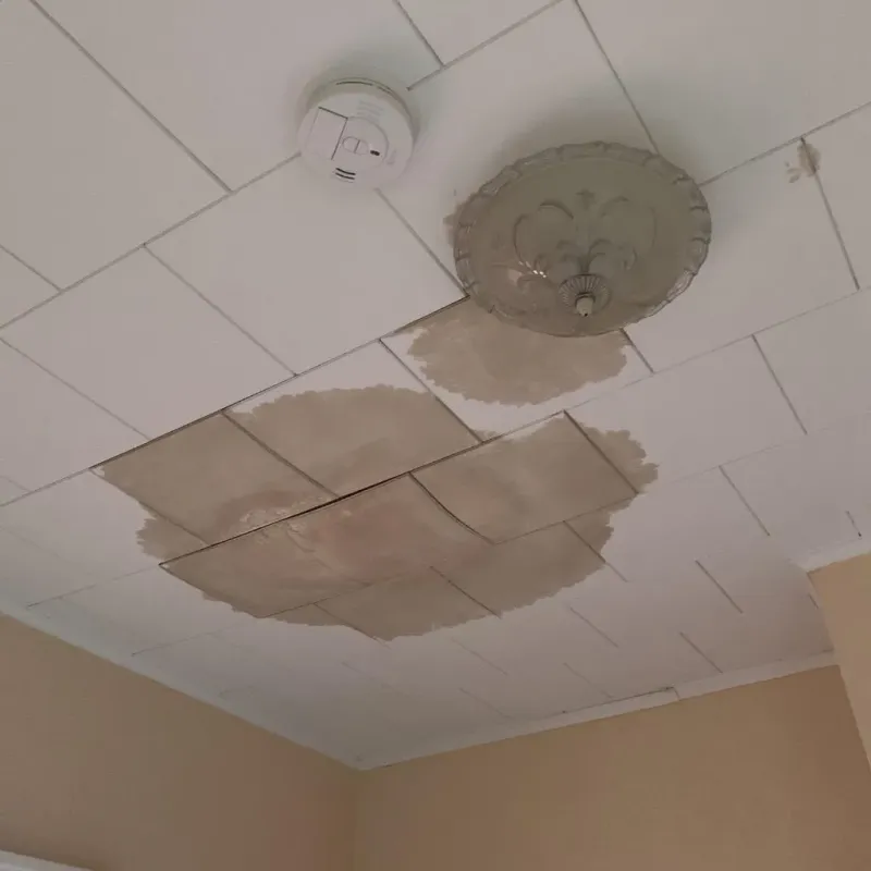 Ceiling Water Damage Repair in Reidland, KY