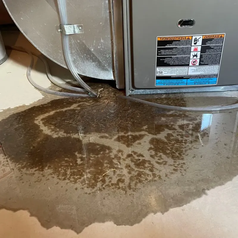 Pipe Burst and Leak Restoration in Reidland, KY
