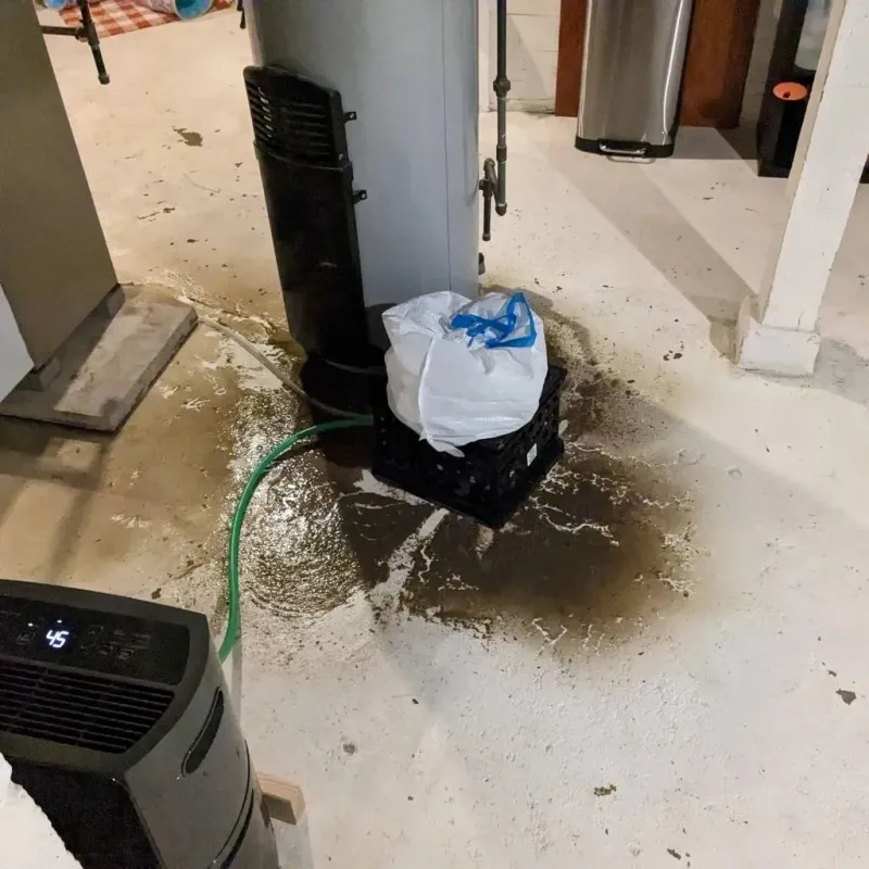 Sewage Backup Cleanup Service in Reidland, KY